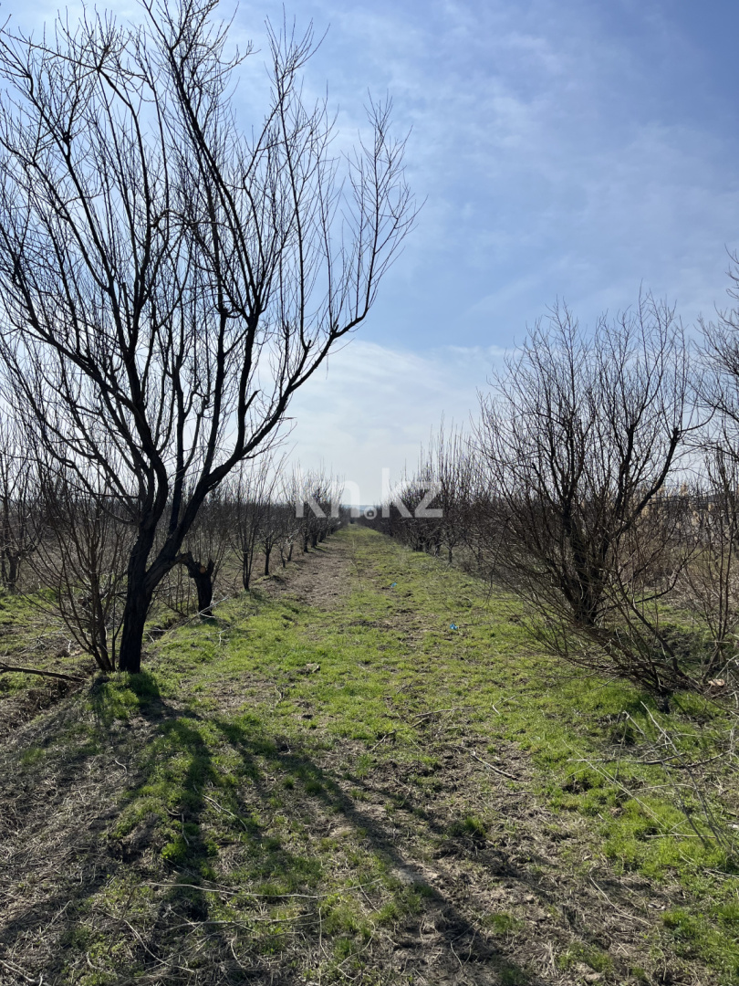 Продажа участка, 2 га в Шымкенте