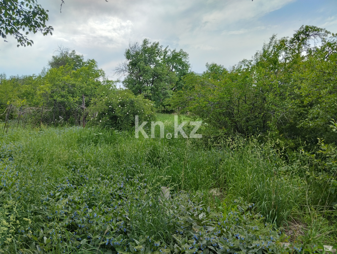 Продажа дачи, 11 сот., Юбилейный с. о. - Продажа квартир в Алматинской области фото 26 из 26