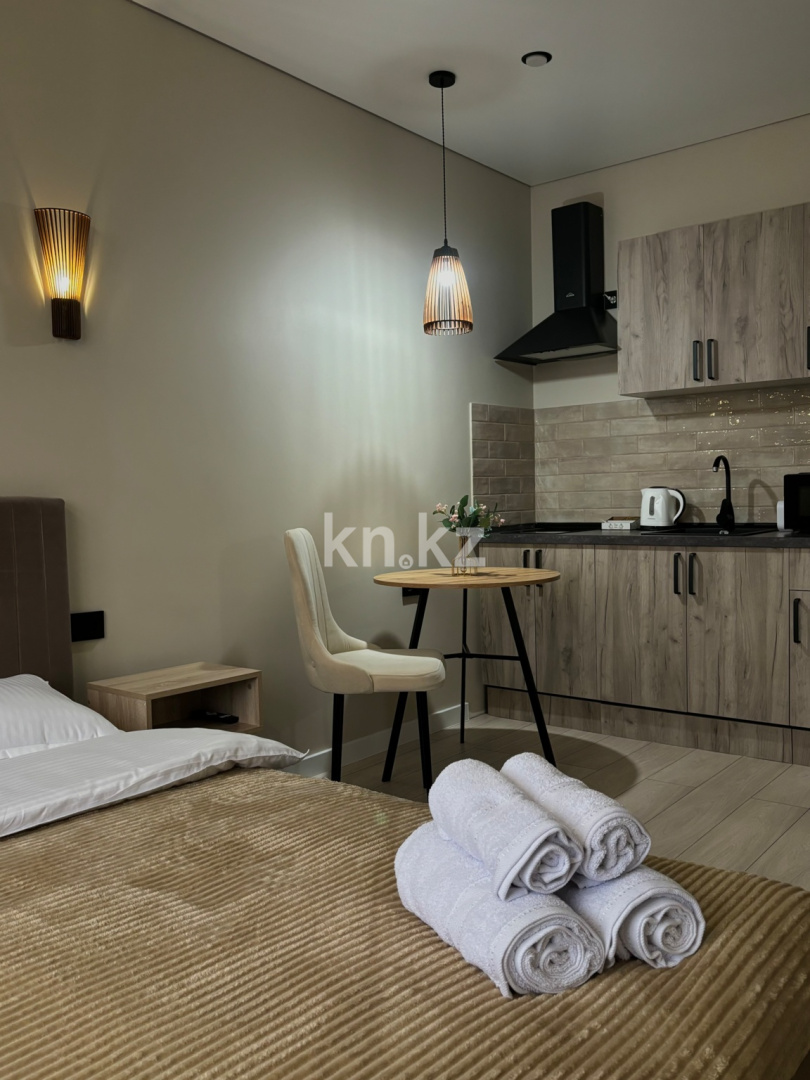 Аренда 1-комнатной квартиры посуточно, 27 м² - Аренда квартир посуточно в Казахстане фото 10 из 20