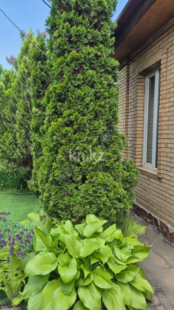 Продажа 4-комнатного дома, 200 м², ул. Омская - Продажа домов, коттеджей в Алматы без посредников фото 3 из 19