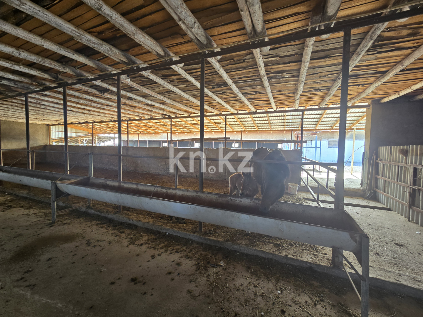 Продажа , 800 м², Касымбек Датка с., дом  111 - Продажа квартир в Шымкенте фото 15 из 24