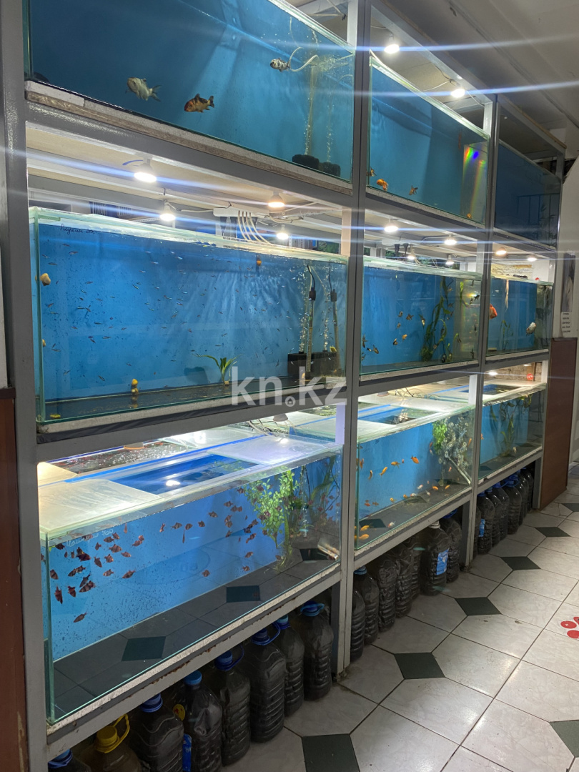 Продажа , 60 м², ул. Казахстанская, дом  22 - Продажа действующего бизнеса в Караганде фото 1 из 4