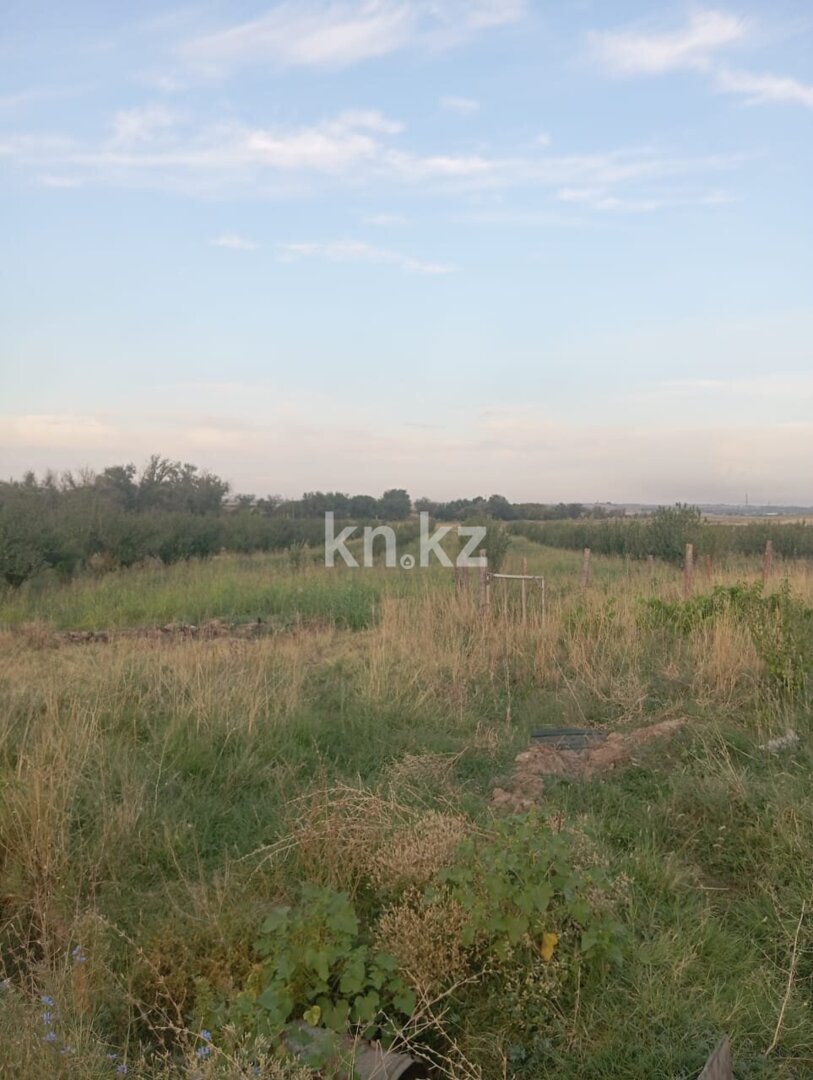 Продажа участка, 6 га в Шымкенте - фото 2