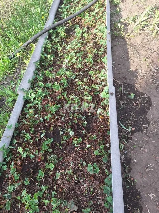 Продажа дачи, 9 сот. - Продажа дач в Караганде фото 15 из 16