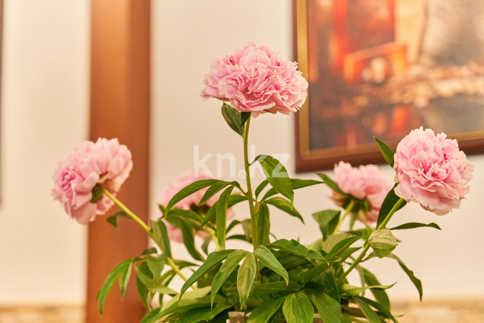 Продажа , 61 м², пр. Сейфуллина, дом  1 - Продажа действующего бизнеса в Караганде с фото фото 12 из 22