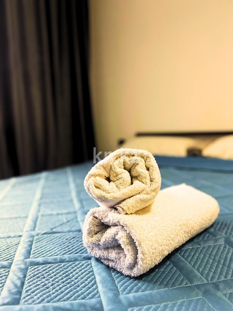 Аренда 1-комнатной квартиры посуточно, 30 м², ул. Нажимеденова, дом  15 - пр. Улы Дала в Астане - фото 5