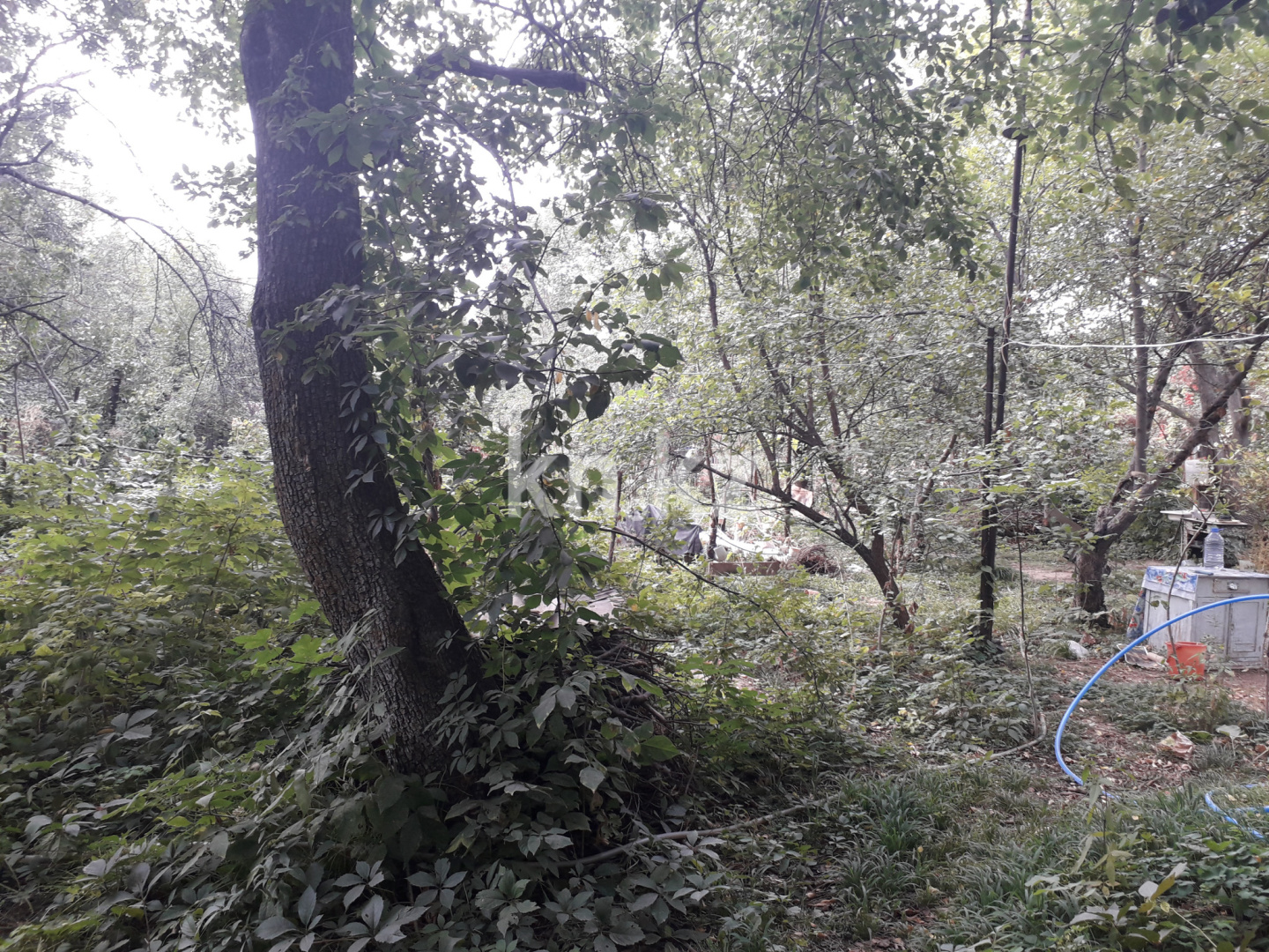 Продажа дачи, 8.5 сот., ул. Алмалы - Продажа дач в Алматы без посредников фото 4 из 5