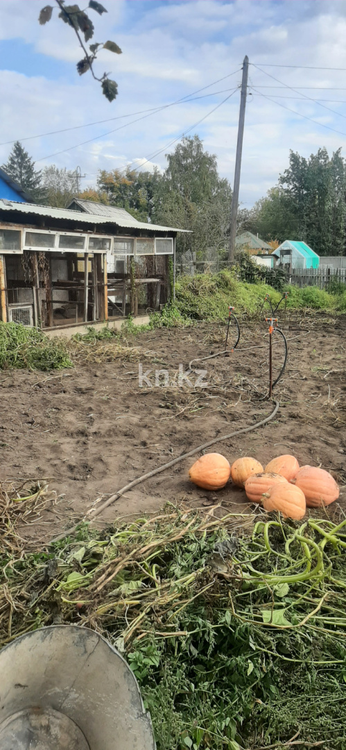 Продажа дачи, 12 сот., Союз 52 - Продажа жилой и коммерческой недвижимости в Усть-Каменогорске фото 1 из 15
