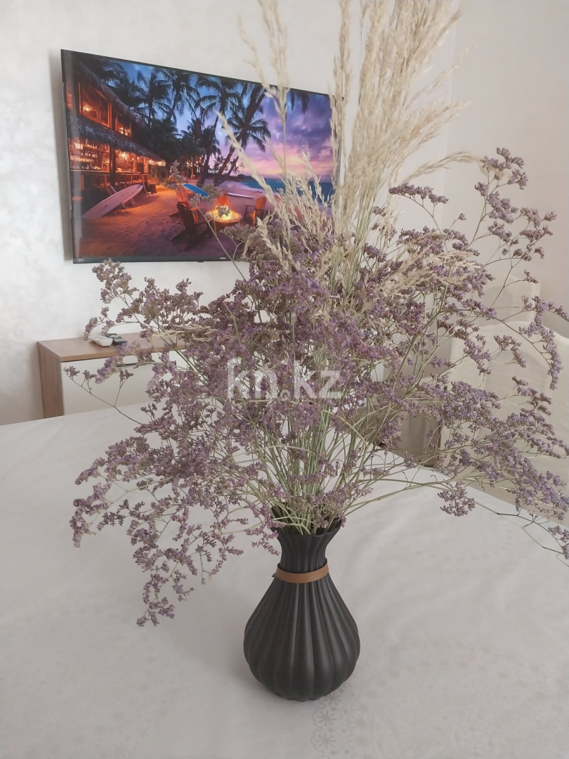 Аренда 4-комнатной квартиры посуточно, 80 м², пр. Райымбека, дом  348/1 - ул. Емцова - Аренда  четырехкомнатных квартир посуточно в Алматы фото 24 из 25