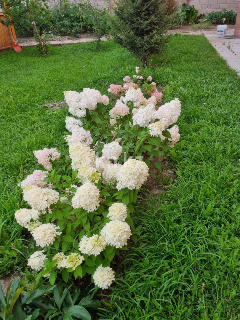 Продажа 7-комнатного дома, 450 м², Комсомольский - Продажа домов, коттеджей в Казахстане фото 8 из 11