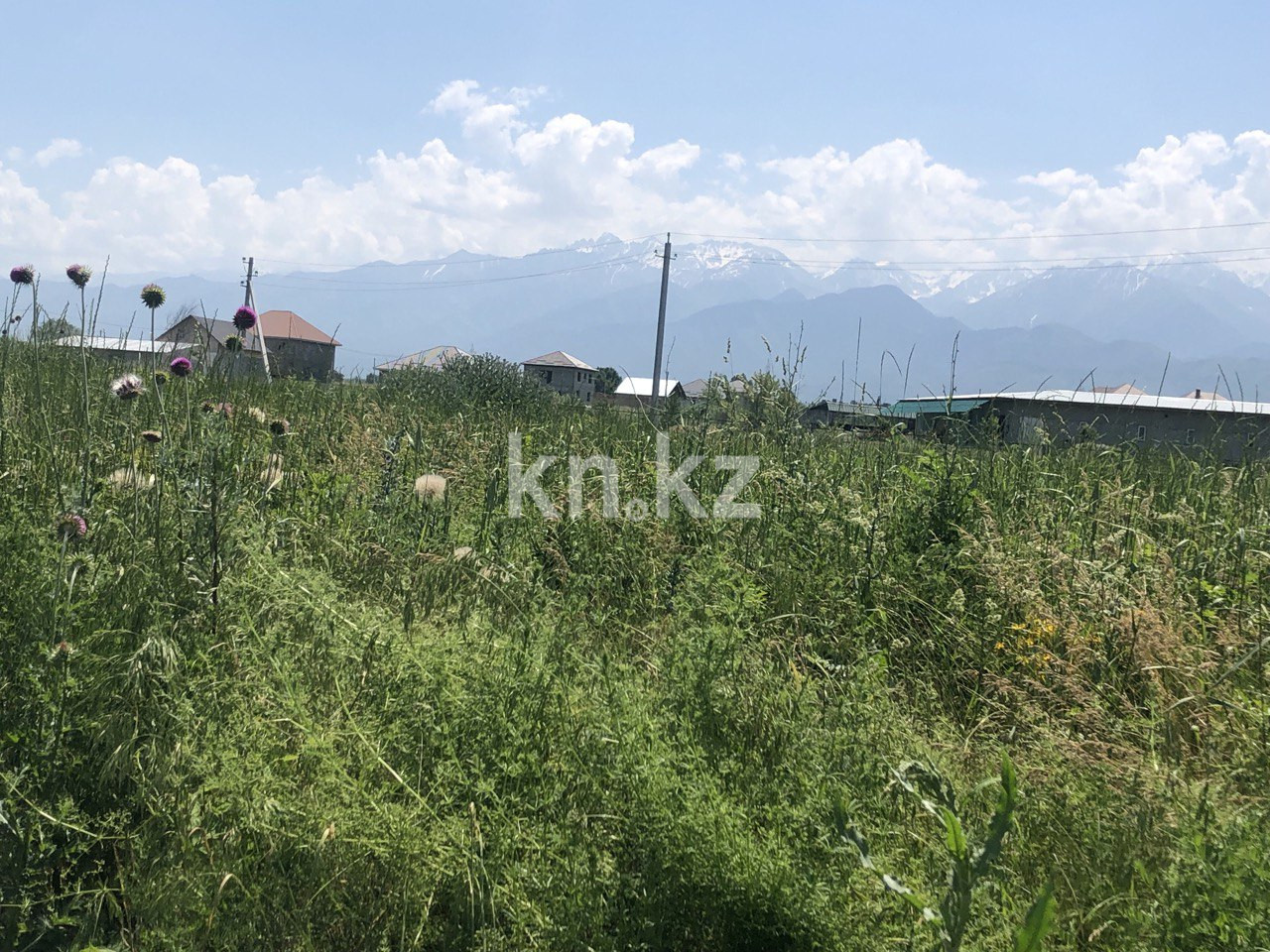 Продажа земельного участка, 144 сот., Алатау - Продажа земельных участков в Алматы фото 2 из 8