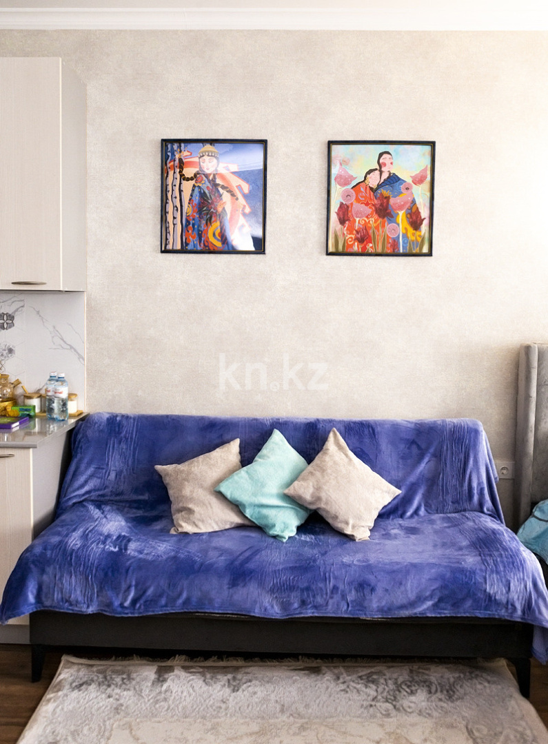 Аренда 1-комнатной квартиры посуточно, 33 м², ул. Карасай батыра, дом  326 - Аренда  однокомнатных квартир посуточно в Алматы без посредников фото 2 из 20
