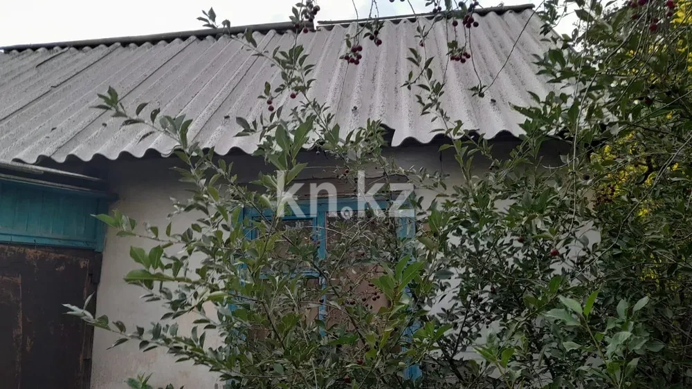 Продажа дачи, 9 сот. - Продажа дач в Караганде фото 3 из 16