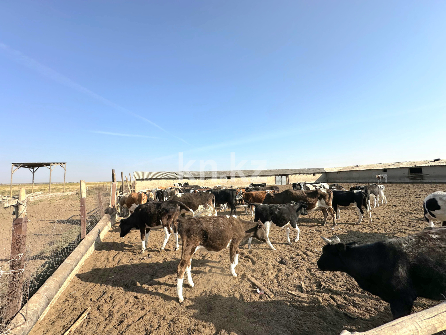 Продажа , 1200 м², ЖМ Алтынтобе, дом  1 - Продажа квартир в Шымкенте фото 24 из 30