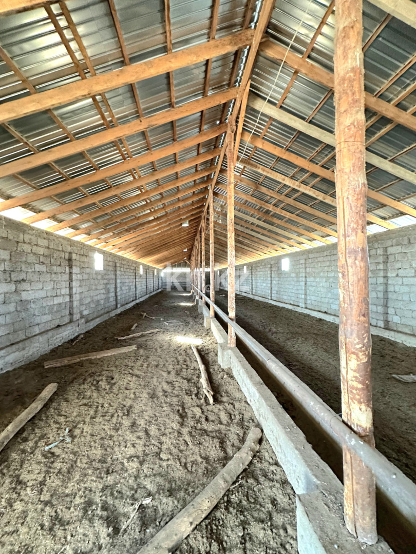 Продажа , 1200 м², ЖМ Алтынтобе, дом  1 - Продажа квартир в Шымкенте фото 7 из 30