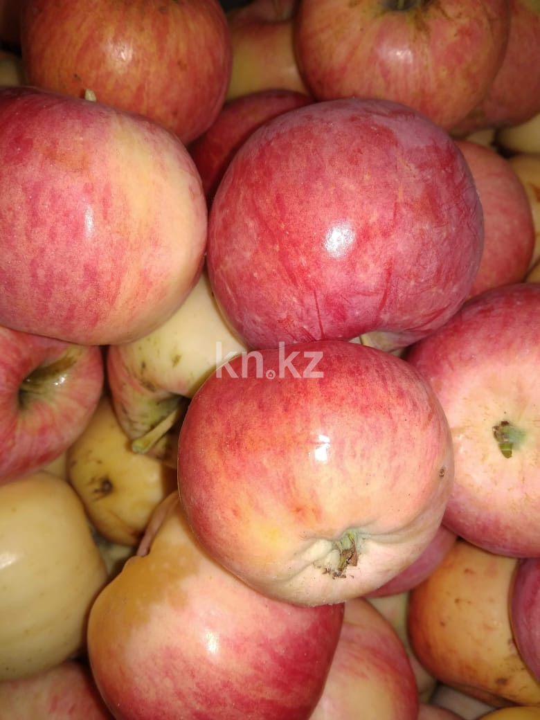 Продажа 3-комнатного дома, 80 м², Сейфуллина, дом  125 - Продажа и аренда недвижимости в Павлодаре фото 9 из 11