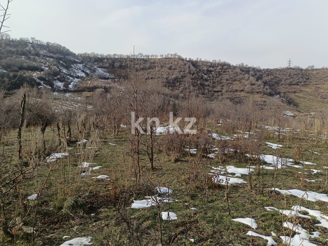 Продажа участка, 6000 м² - Продажа земельных участков в Алматы с фото фото 1 из 11