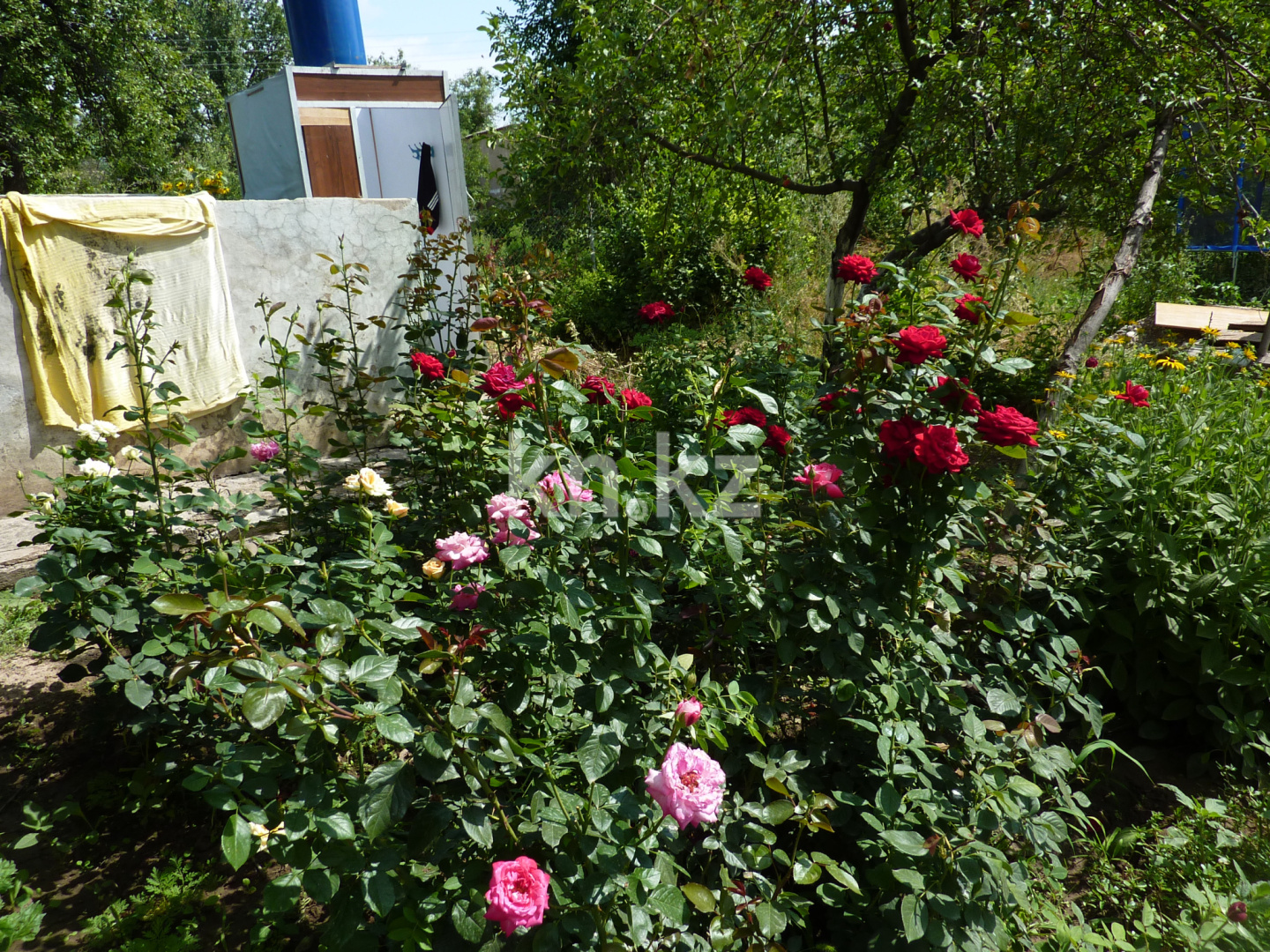 Продажа дачи, 8 сот. - Недвижимость в Шымкенте - страница 2 фото 11 из 13