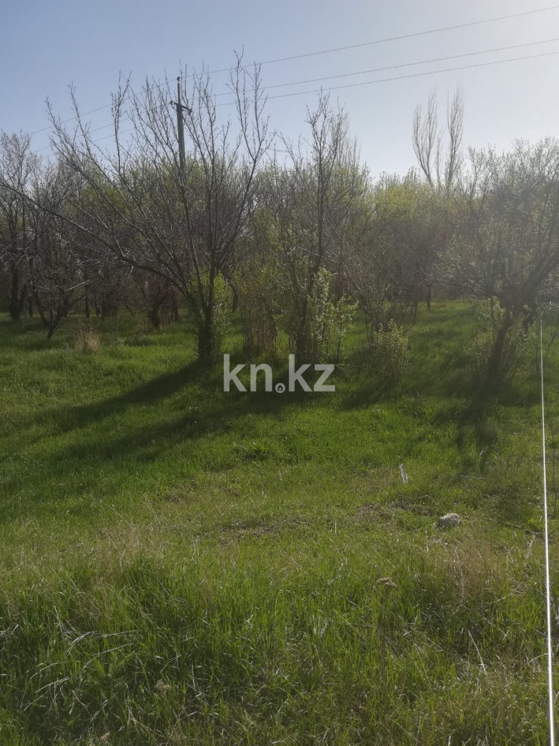 Продажа земельного участка, 50 сот., Азат п. - Продажа земельных участков в Алматинской области фото 3 из 11
