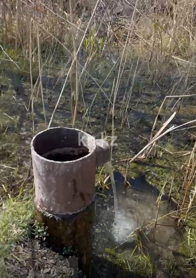 Продажа участка, 81 га - Продажа недвижимости в Казахстане - страница 9 фото 3 из 10