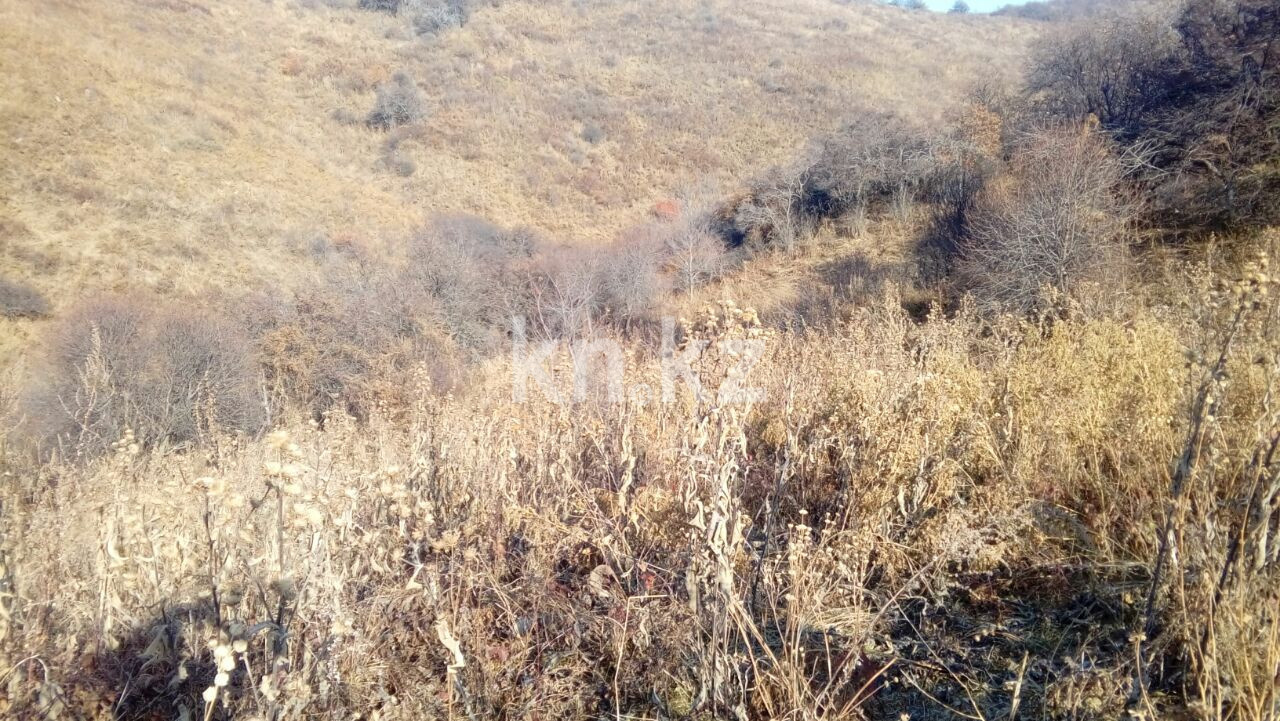 Продажа земельного участка, 1.5 га, МТФ №3 р-н - Продажа земельных участков в Алматинской области фото 2 из 6