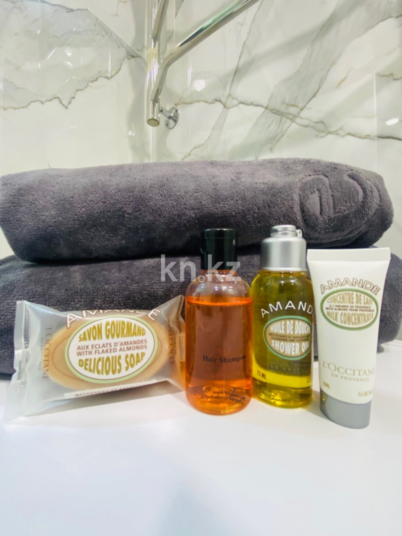 Аренда 1-комнатной квартиры посуточно, 33 м², ул. Айтиева, дом  154 - ул. Жамбыла - Продажа квартир в Алматы фото 6 из 7