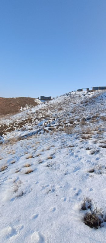 Продажа участка, 8 га - Продажа земельных участков в Алматинской области фото 23 из 30