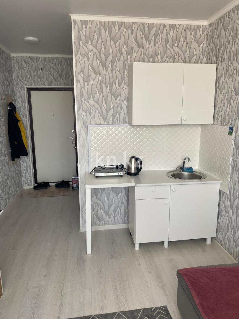 Аренда 1-комнатной квартиры, 20 м² - Аренда квартир помесячно в Астане фото 1 из 7