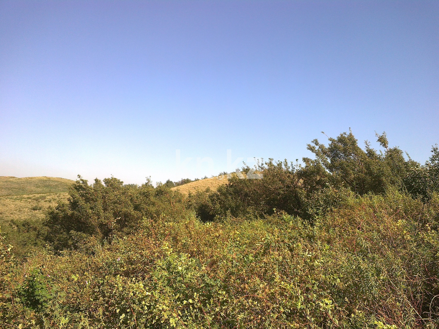 Продажа земельного участка, 28 га, ул. Восточная объездная (ВОАД) - Продажа земельных участков в Алматы фото 3 из 10