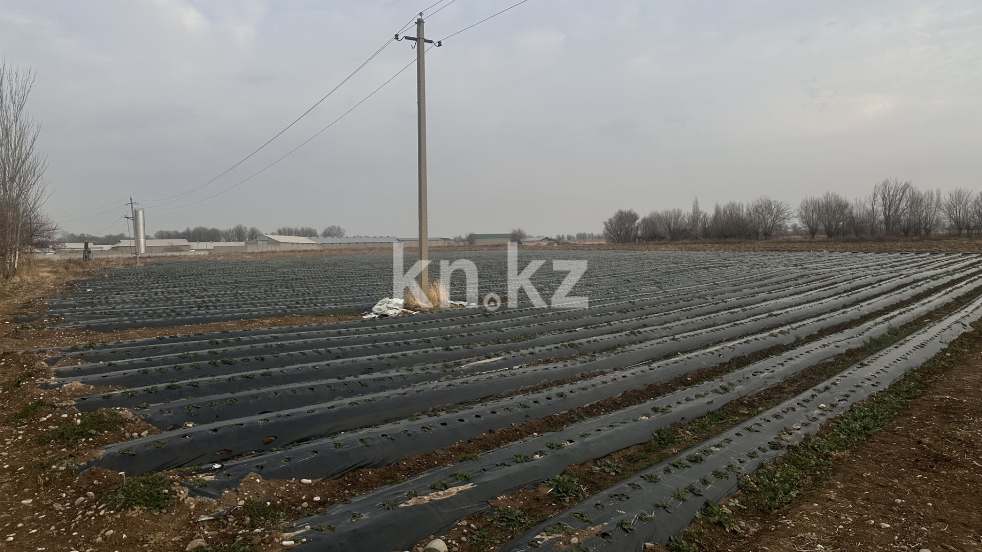 Продажа участка, 4.32 га - Недвижимость в Казахстане - страница 33 фото 1 из 2