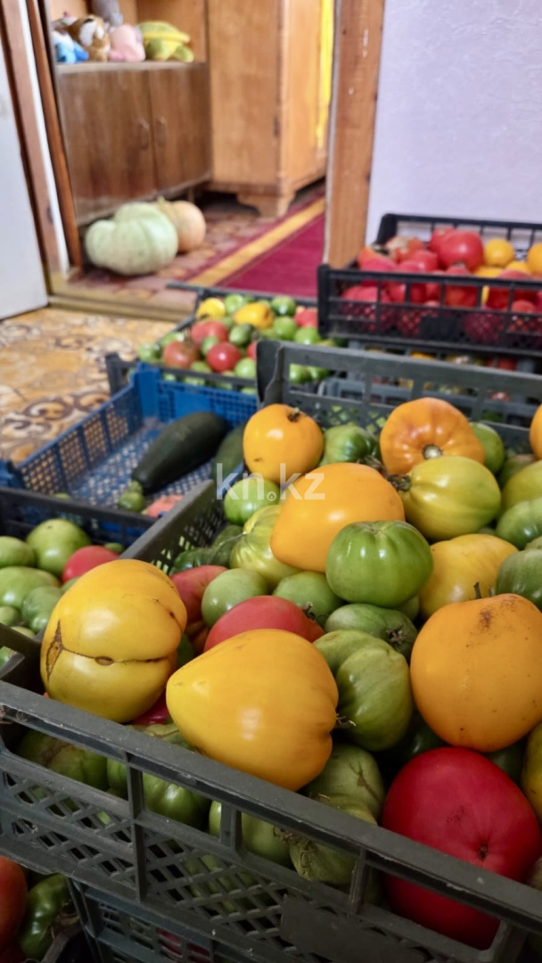 Продажа дачи, 12 сот., Елочка - Продажа дач в Караганде с фото фото 39 из 39