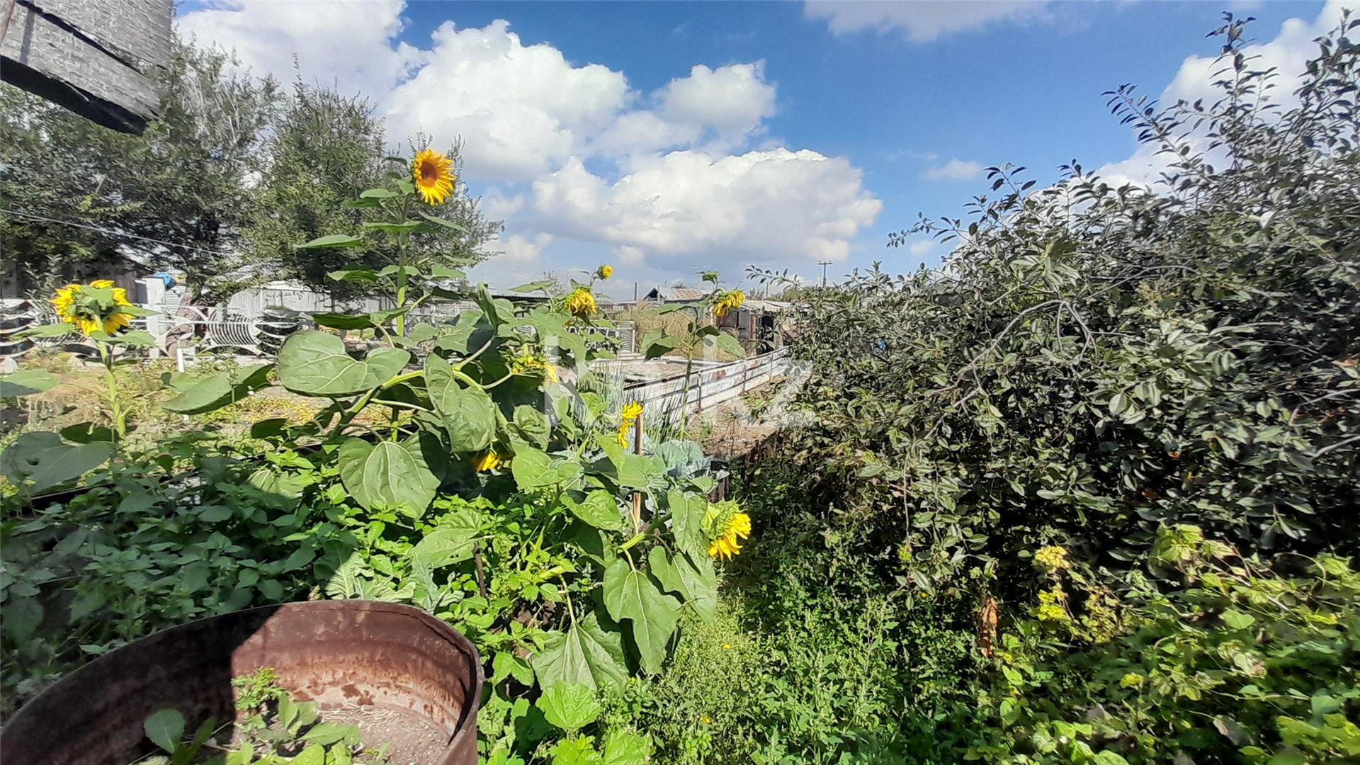 Продажа 4-комнатного дома, 65.2 м², 125А квартал в Темиртау - фото 23