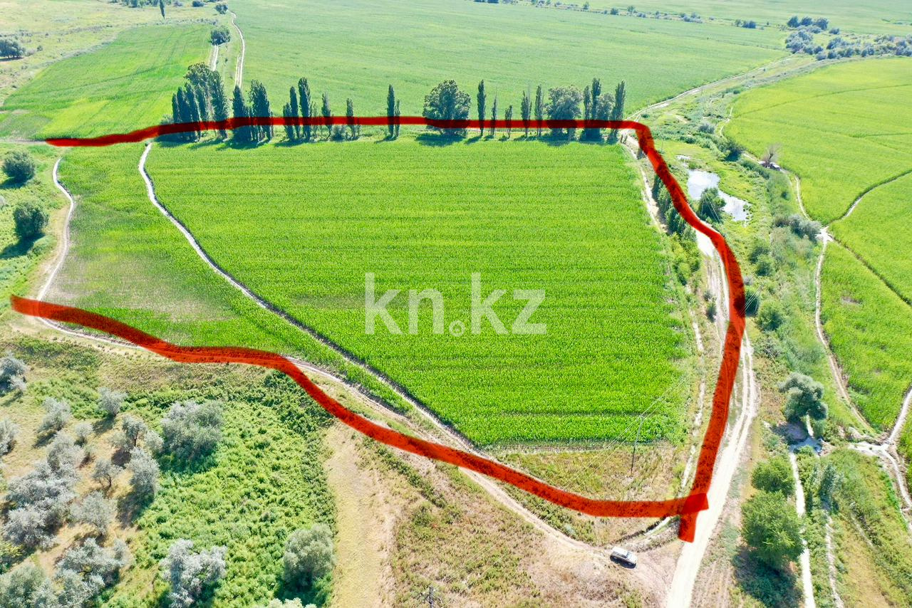 Продажа земельного участка, 10 га, Жанашар - Продажа земельных участков в Алматинской области фото 5 из 6