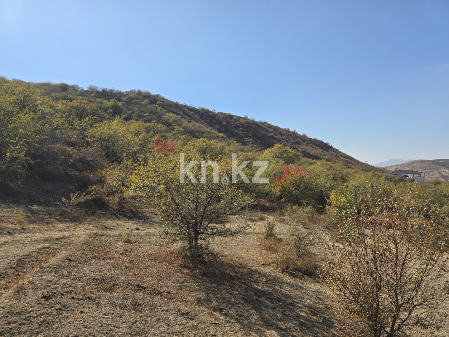 Продажа , 450 м², с.Бургулюк, дом  1111 - Продажа квартир в Шымкенте фото 37 из 40