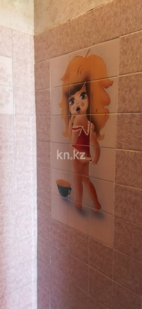 Продажа 2-комнатной квартиры, 31 м², ул. Ауэзова, дом  16 - ул. Толе би в Алматы - фото 21 Продажа 2-комнатной квартиры, 31 м², ул. Ауэзова, дом  16 - ул. Толе би в Алматы - фото 21