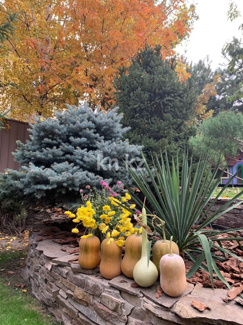 Продажа 7-комнатного дома, 458 м², Мамыр-4 мкр-н - Продажа домов, коттеджей в Алматы фото 30 из 40