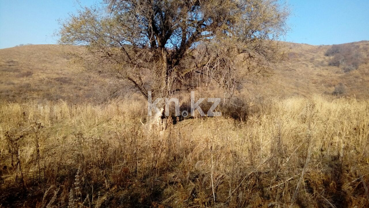 Продажа земельного участка, 1.5 га, МТФ №3 р-н - Продажа земельных участков в Алматинской области фото 5 из 6