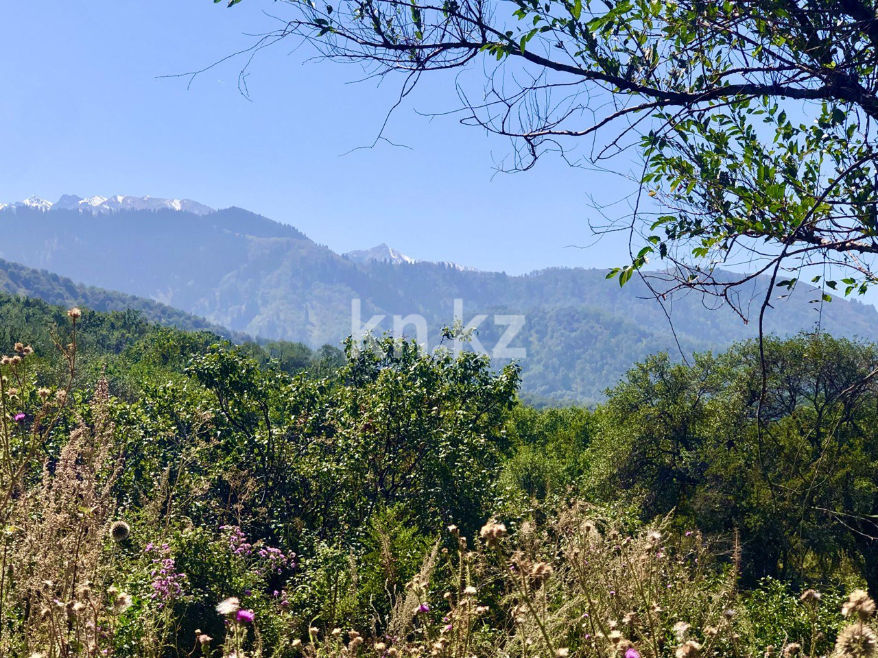 Продажа земельного участка, 2 га, Талгарский - Продажа и аренда недвижимости в Талгаре фото 13 из 17