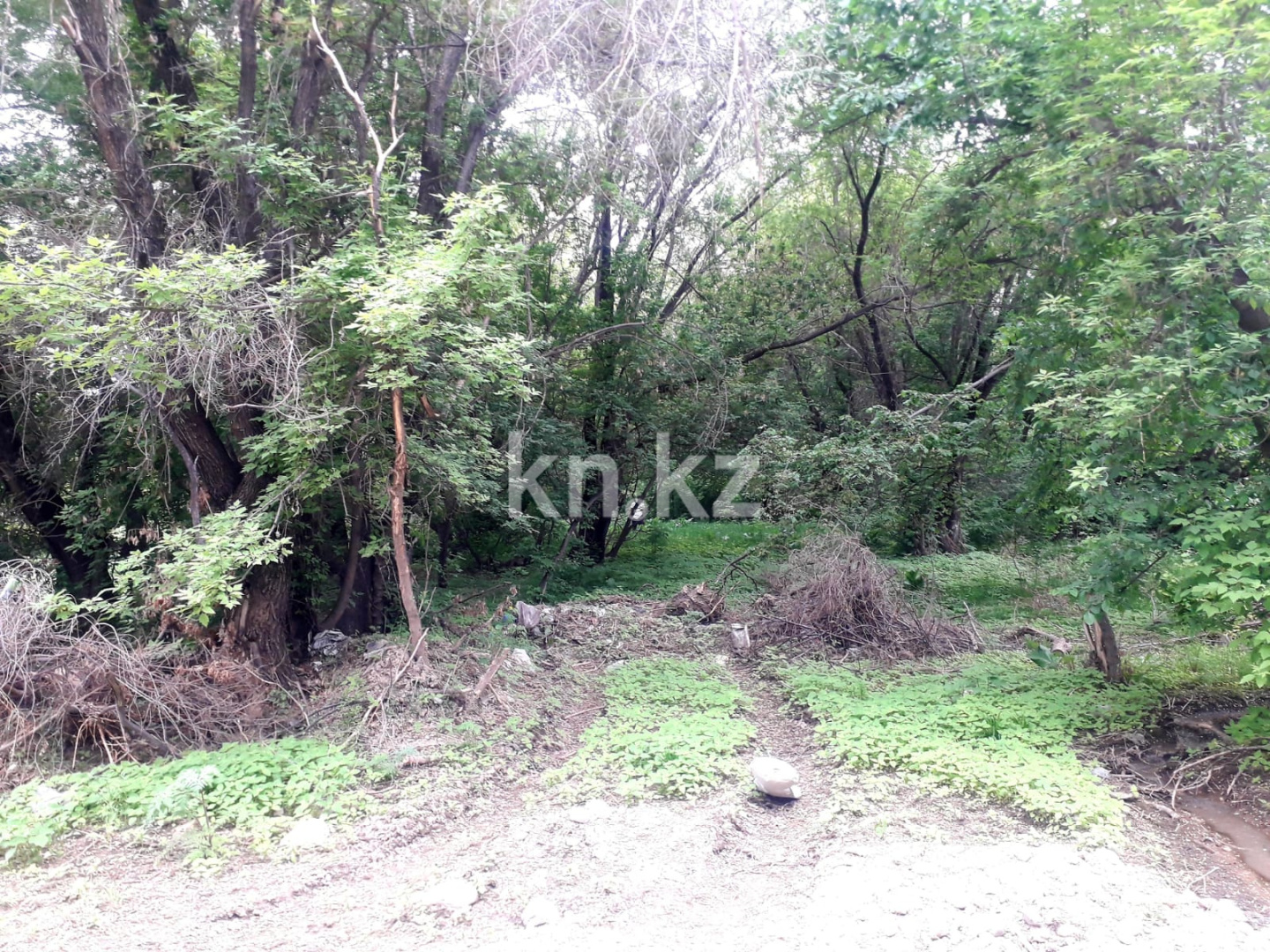 Продажа земельного участка, 190 м², Туздыбастау п. - Продажа земельных участков в Алматинской области фото 5 из 6