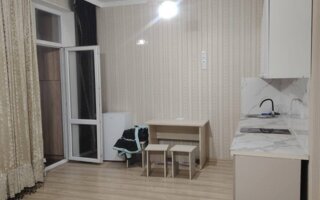 Аренда 1-комнатной квартиры, 30 м²