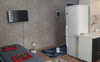 Аренда 2-комнатной квартиры посуточно, 42 м², ул. Бокина, дом  3/1 - Аренда квартир помесячно в Казахстане