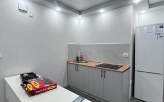 Аренда 1-комнатной квартиры, 47 м²