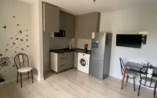 Аренда 1-комнатной квартиры, 25.1 м²