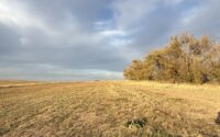 Продажа участка, 75 сот. в Шымкенте - фото 3