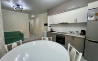 Аренда 2-комнатной квартиры, 43 м² в Астане