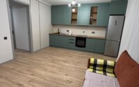 Аренда 2-комнатной квартиры, 50 м² в Астане