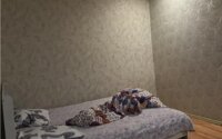 Продажа 1-комнатной квартиры, 25.5 м² в Алматы