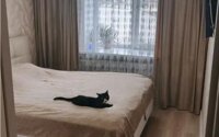 Продажа 3-комнатной квартиры, 55 м² в Астане - фото 2
