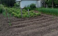 Продажа дачи, 9.3 сот. в Алматинской области - фото 3