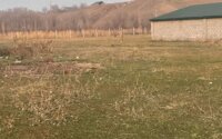 Продажа участка, 6 сот. в Алматинской области - фото 4